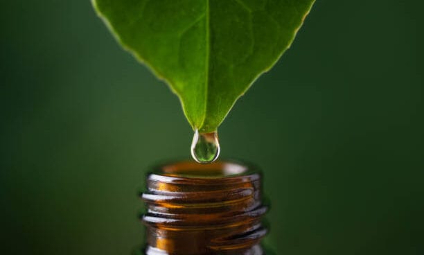 NATUROPATHIC MEDICINE